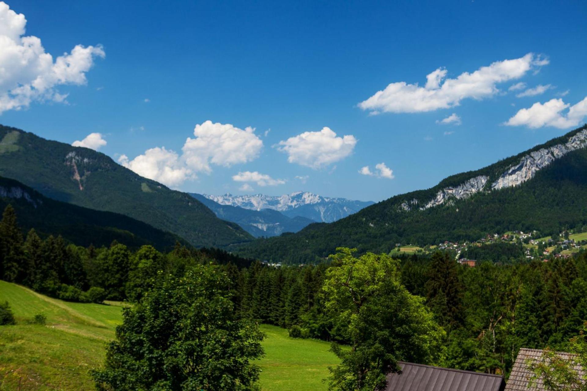 Appartement Krippenstein Mit Indoorpool Und Sauna バート・ゴイーザーン エクステリア 写真